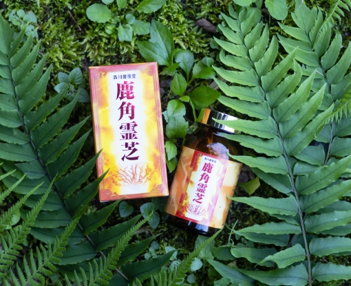 その他の健康補助食品 | 森川健康堂株式会社