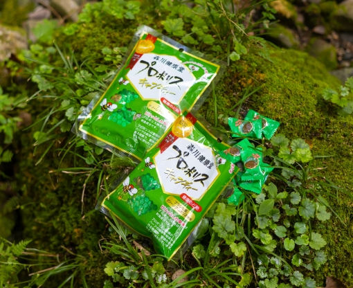 プロポリスキャンディー