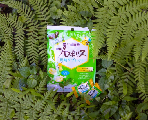 プロポリス炭酸タブレット