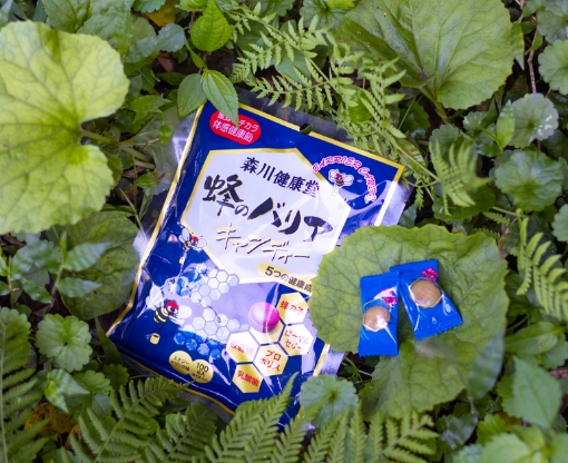 蜂のバリアキャンディー