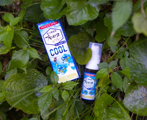 プロポリススプレークールタイプ